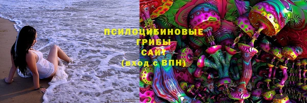 винт Аркадак