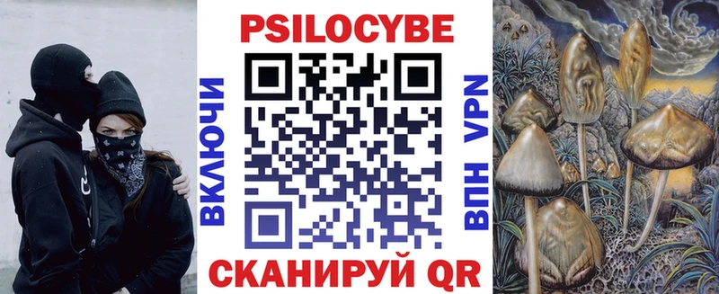 что такое   Чишмы  Псилоцибиновые грибы Psilocybine cubensis 